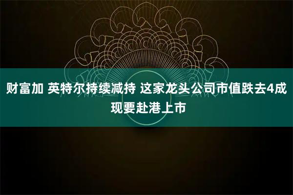财富加 英特尔持续减持 这家龙头公司市值跌去4成 现要赴港上市