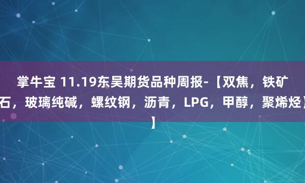 掌牛宝 11.19东吴期货品种周报-【双焦，铁矿石，玻璃纯碱，螺纹钢，沥青，LPG，甲醇，聚烯烃】