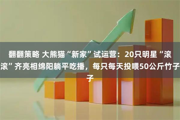 翻翻策略 大熊猫“新家”试运营：20只明星“滚滚”齐亮相绵阳躺平吃播，每只每天投喂50公斤竹子